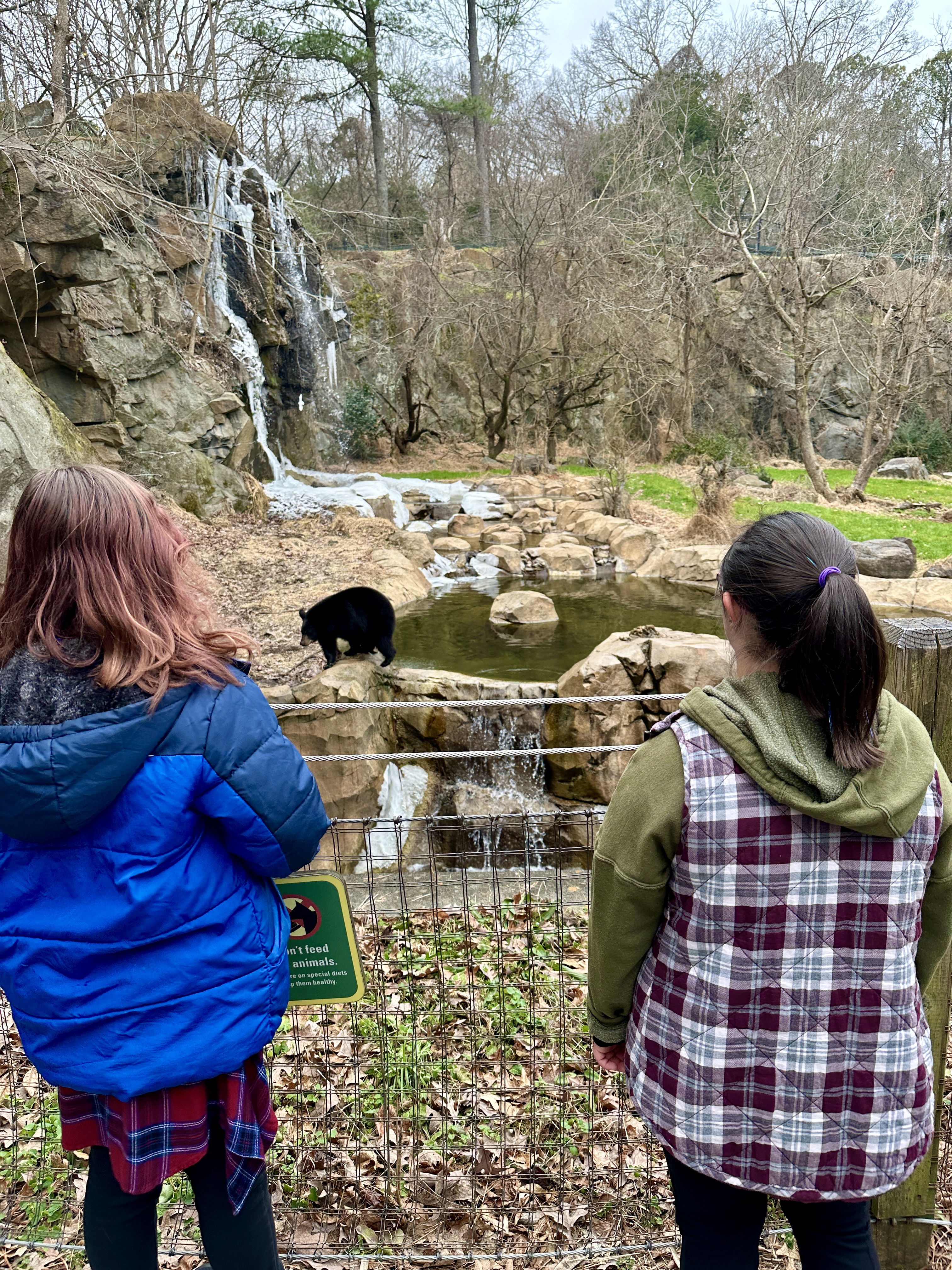 Field Trips